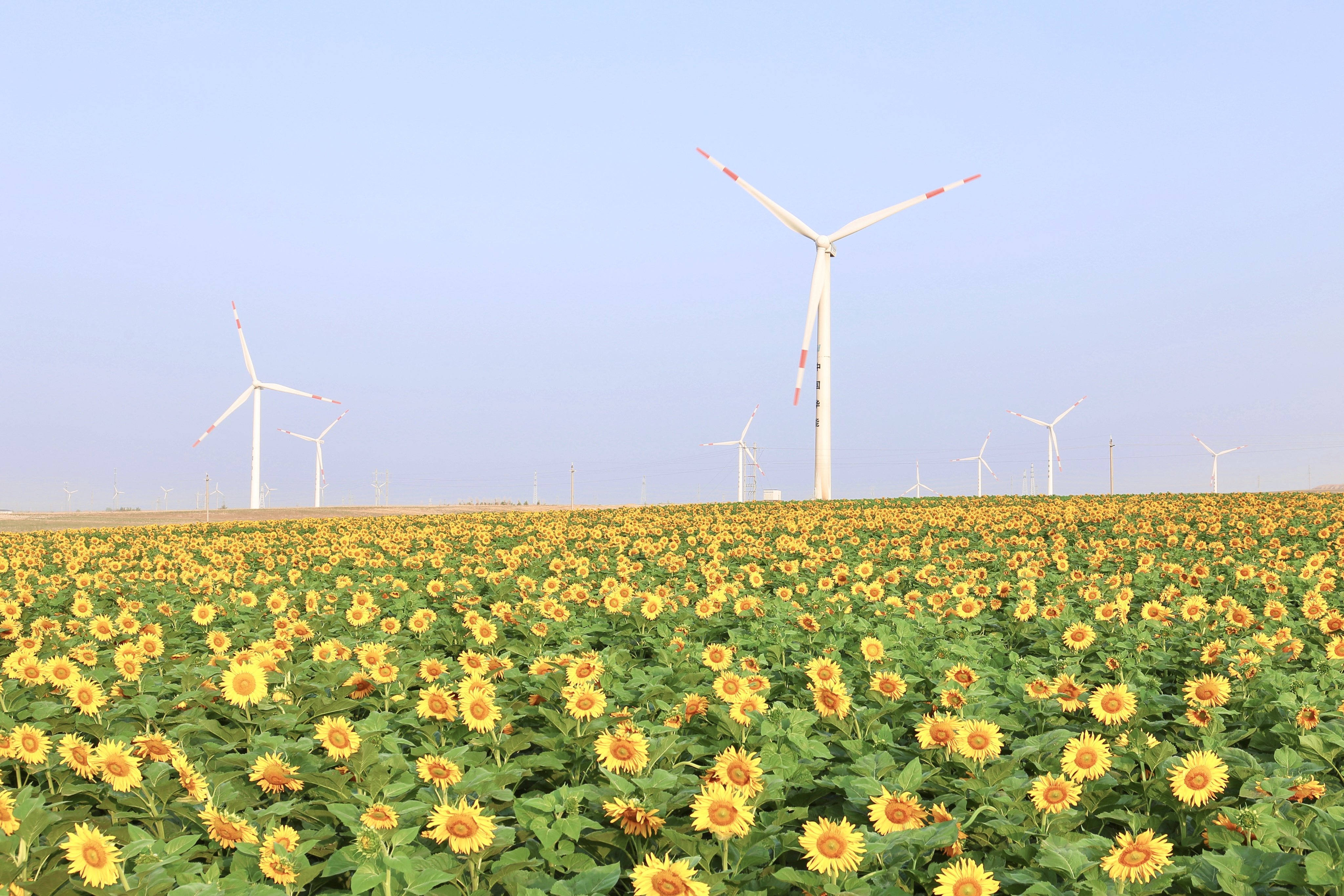 918博天娱乐股份助力推动风电场控制技术国际研发项目顺利实施