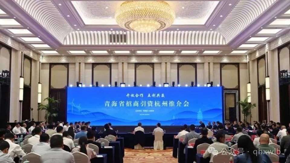 陈棋受邀参加青海省招商引资杭州推介会